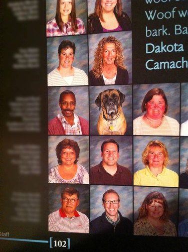 24 dogs winning all the yearbook awards and superlatives