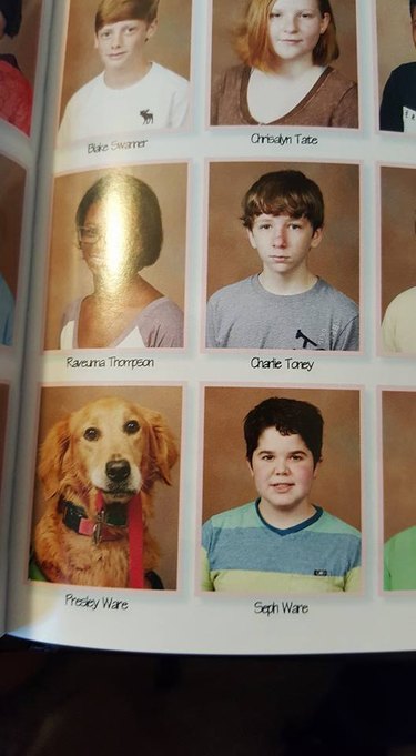 24 dogs winning all the yearbook awards and superlatives