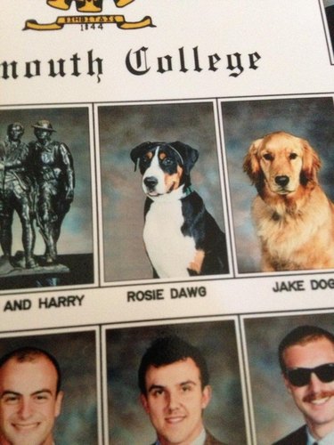 24 dogs winning all the yearbook awards and superlatives