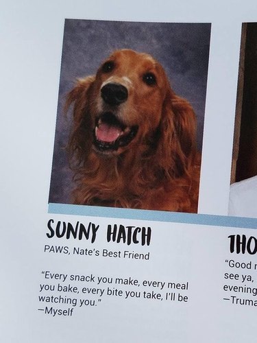 24 dogs winning all the yearbook awards and superlatives