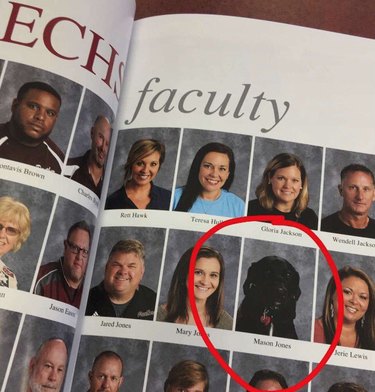 24 dogs winning all the yearbook awards and superlatives