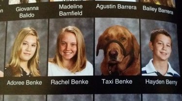 24 dogs winning all the yearbook awards and superlatives