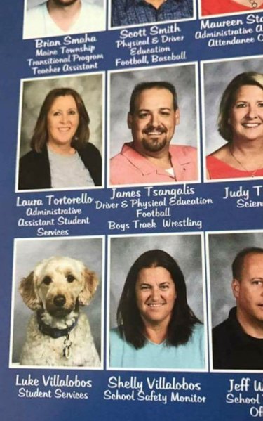 24 dogs winning all the yearbook awards and superlatives