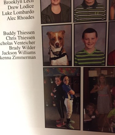 24 dogs winning all the yearbook awards and superlatives