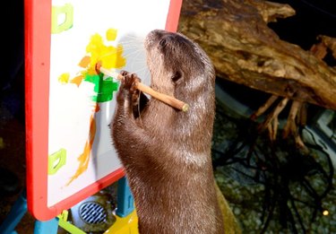 otter painting on a canvas