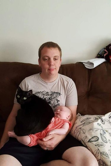 A man holding a sleeping baby while a black cat makes himself comfortable on top of the baby.