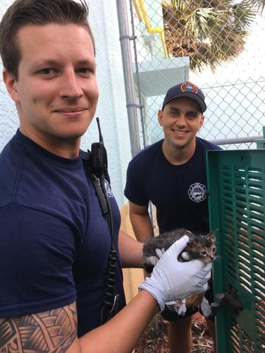 Florida firefighters rescue kitten stuck in supermarket generator