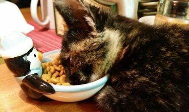 A cat is asleep in a penguin-shaped food bowl.