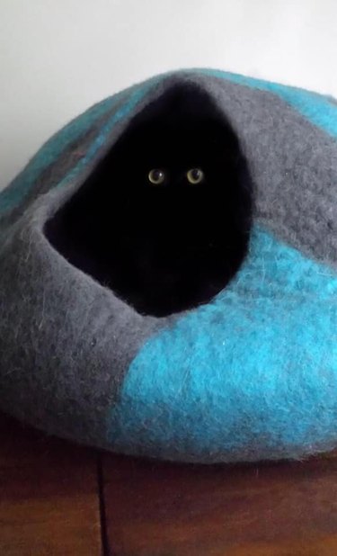 Black cat peers out of cat tent