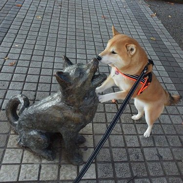 Dog touching its nose to the nose of a dog statue.