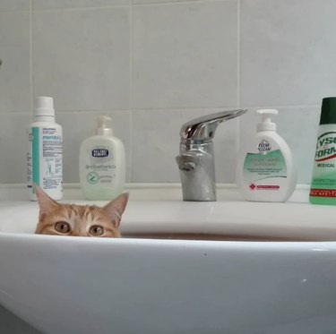 A cat's eyes are visible over a sink rim.