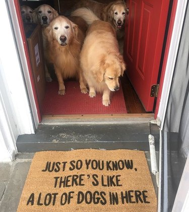 A doormat that says "Just so you know, there's like a lot of dogs in here" in front of open door with dogs inside