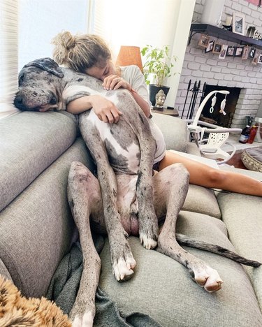 Great Dane cuddling with woman on couch