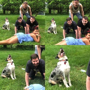 Happy dog with people doing a human pyramid