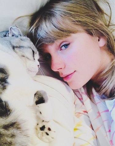Taylor Swift and cat
