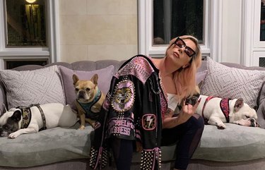 Lady Gaga and dogs