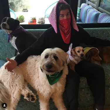Liam Hemsworth and his dogs