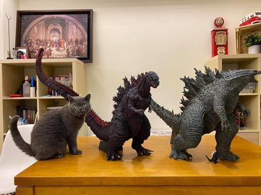 cat poses next to Godzilla toy