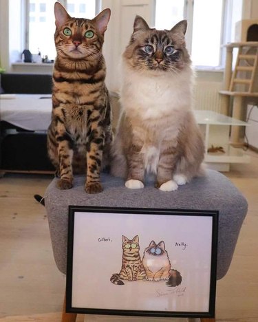 cats pose with illustrated portrait