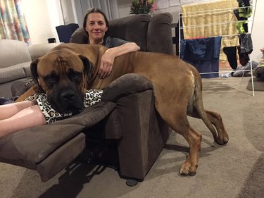 dog with giant head resting head on his person