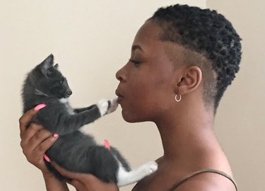 Needy kitten interrupts woman's fashion shoot with hilarious photobomb