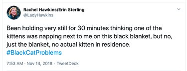 Tweet that says "Been holding very still for 30 minutes thinking one of the kittens was napping next to me on this black blanket, but no, just the blanket, no actual kitten in residence. #BlackCatProblems"