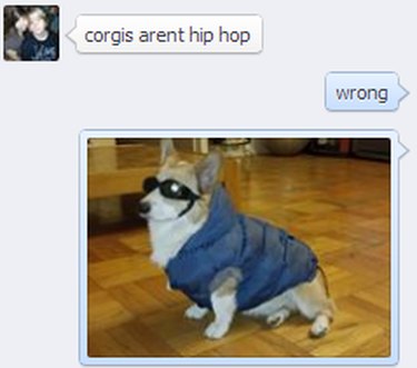 A funny meme about corgis being hip hop