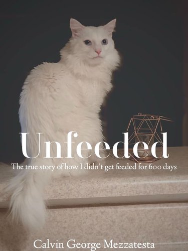 cat poses for (fake) book cover.