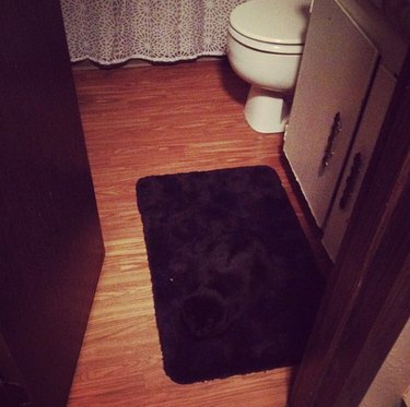 woman trips over black cat sleeping on black rug mat