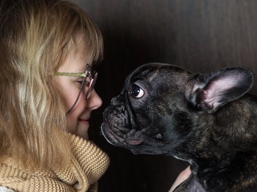 The girl and funny dog, nose to nose