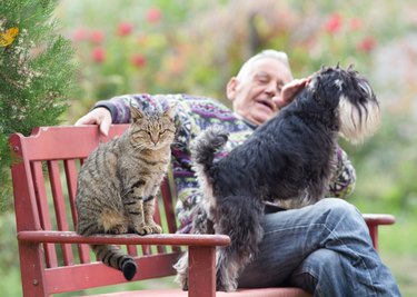Senior man with dog and cat