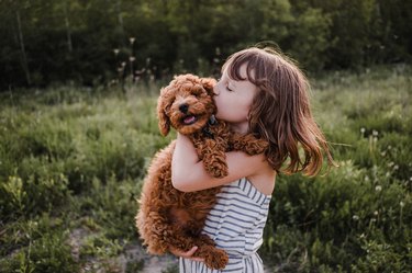 Puppy turning away from girl's kisses