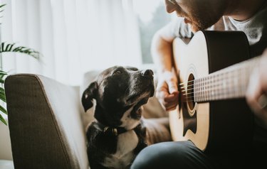 Serenading