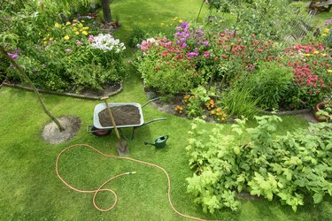 Garden view from overhead