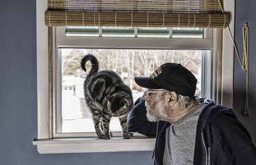 US Navy Vietnam War Veteran Talking to Pet Cat on Windowsill