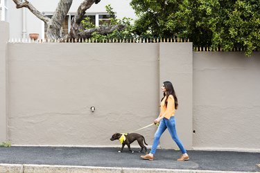 Woman walking a dog in the suburbs