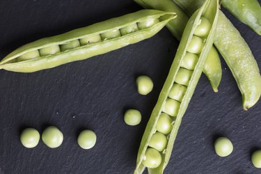 Organic fresh peas on black stone background close up. Healthy diet, vegan and vegetarian concept.