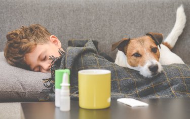 Dog guarding sick boy sleeping on sofa under plaid