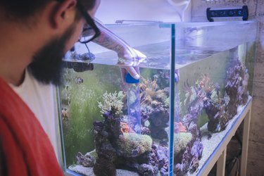 Reef Tank Maintenance