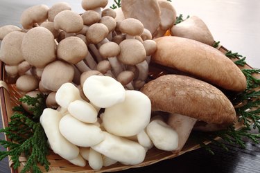 Mushrooms in bamboo basket