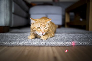 Hunting the dot