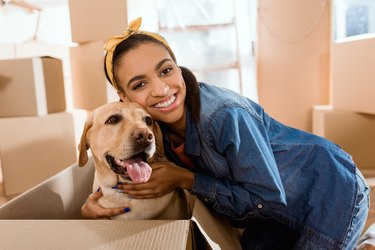 smiling african american woman with labrador dog in cardboard box