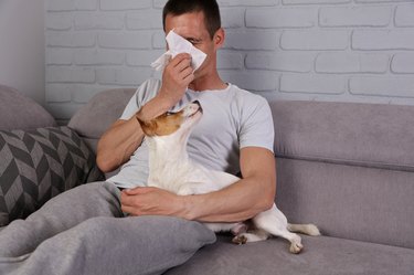 Man with runny nose and dog on the couch.