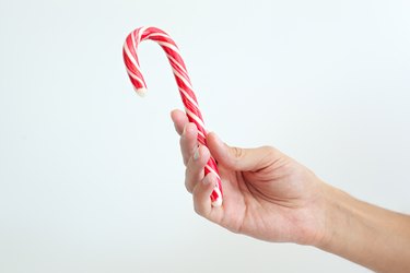 Male hand holding christmas candy cane