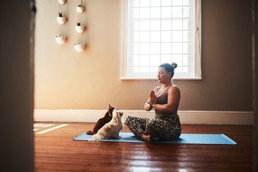 two dogs looking at their owner while she meditates
