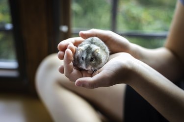Girl Holding First Pet Hamster