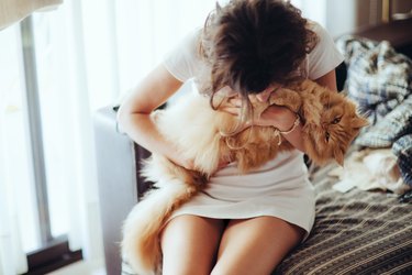 Young woman cuddling furry cat on sofa at home