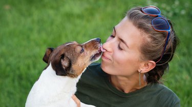 small dog licking woman's nose