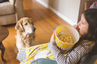 High angle view of a girl eating popcorn while her dog watches