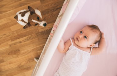 Baby and pet dog